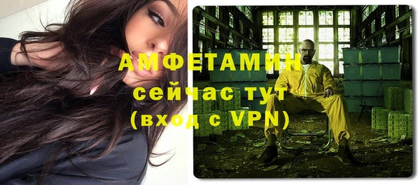 хмурый Сосновый Бор