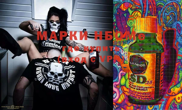 ГАЛЛЮЦИНОГЕННЫЕ ГРИБЫ Вяземский
